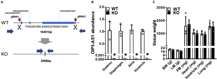 Figure 2