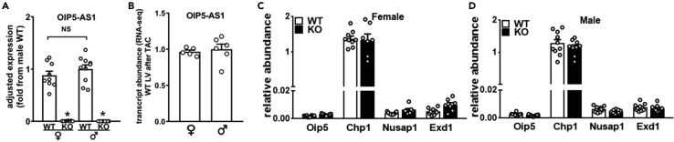 Figure 4