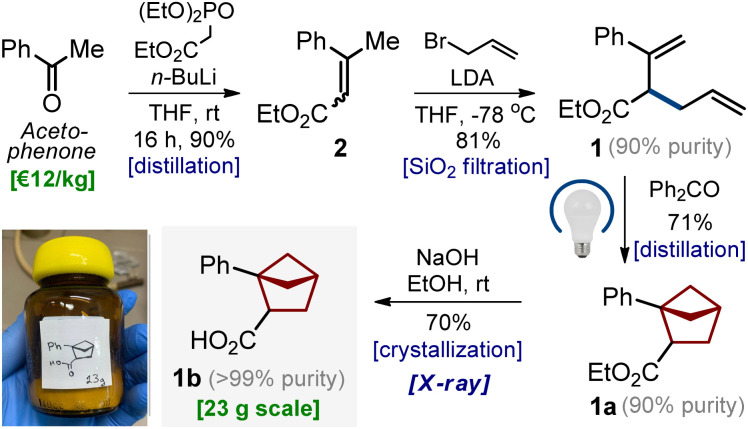 Scheme 1