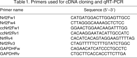 graphic file with name table021.jpg