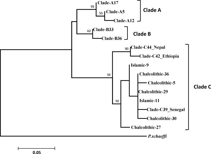 Figure 2.