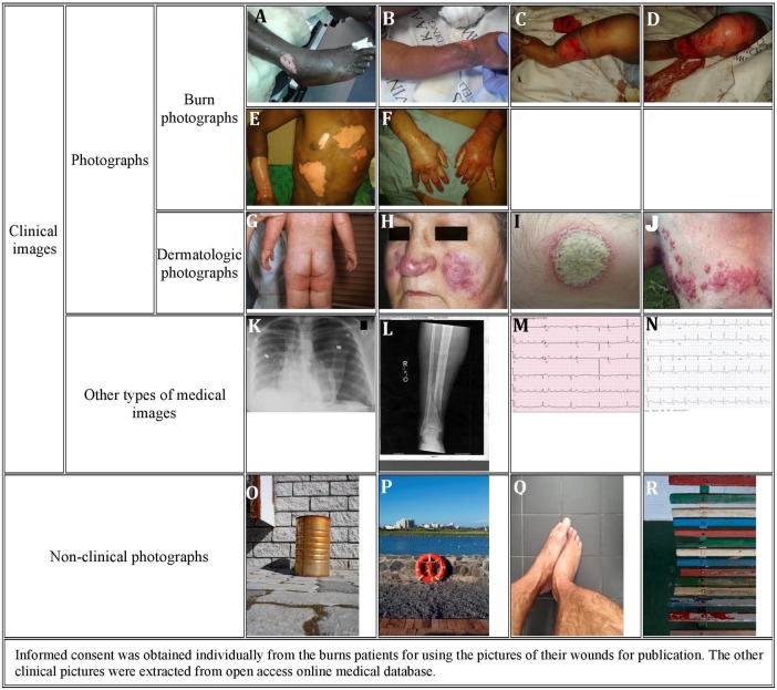 Figure 1