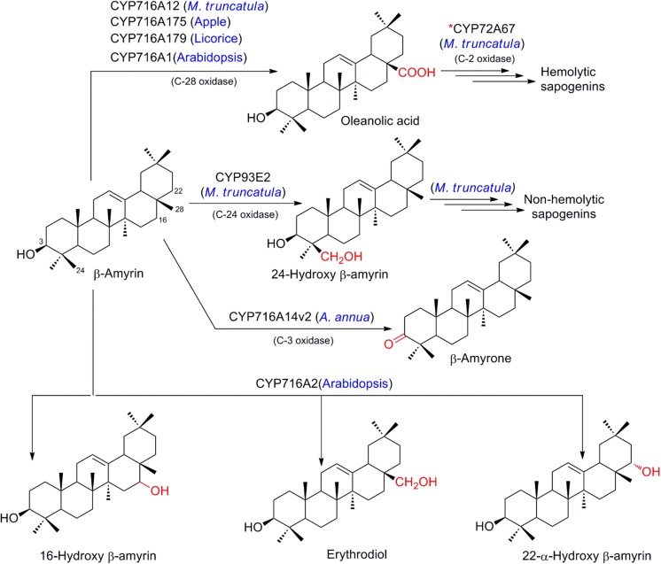 Fig. 11