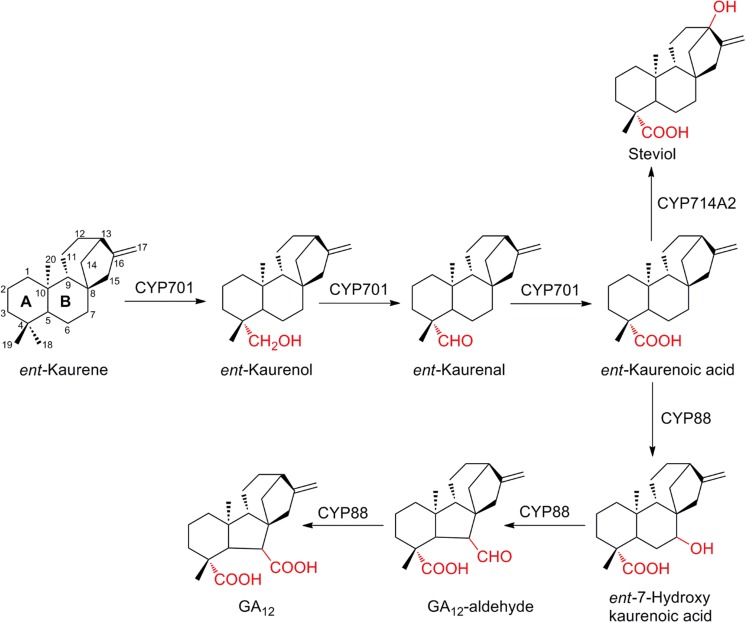 Fig. 6