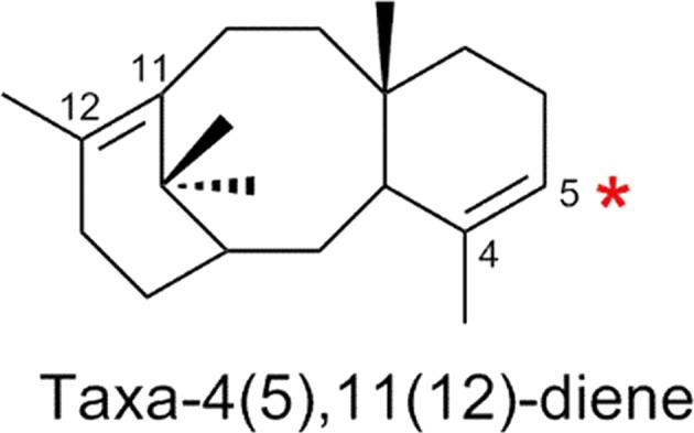 Fig. 10