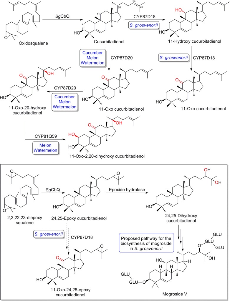 Fig. 13