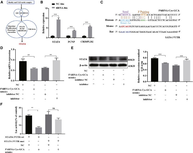 Figure 4