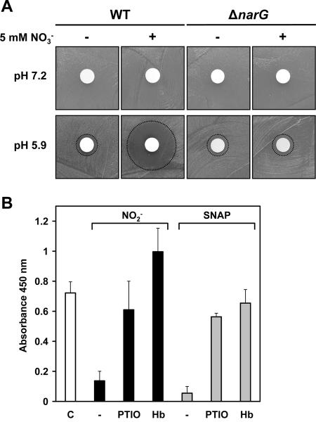 FIG. 5.