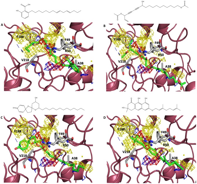 Figure 5