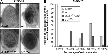 Figure 4.—