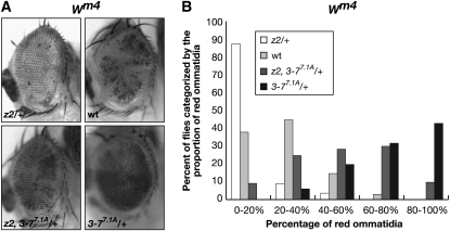 Figure 5.—