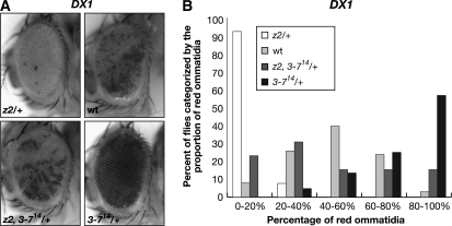 Figure 6.—