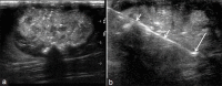 Figure 24