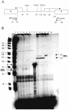 FIG. 5.