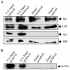 FIG. 6.
