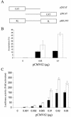 FIG. 2.
