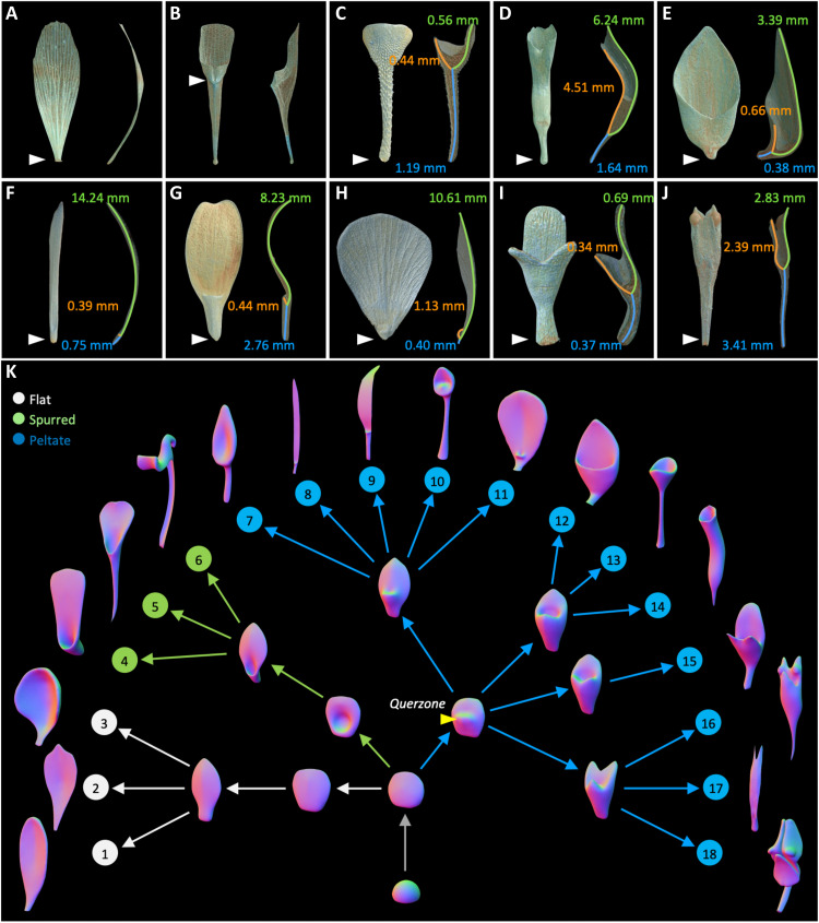 Fig. 1.
