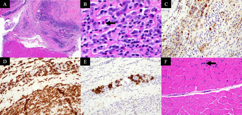 Fig. 3