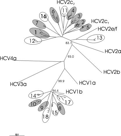 FIG. 2.