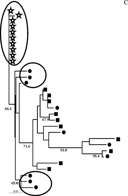 FIG. 4.