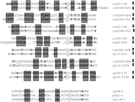 Figure 3.—