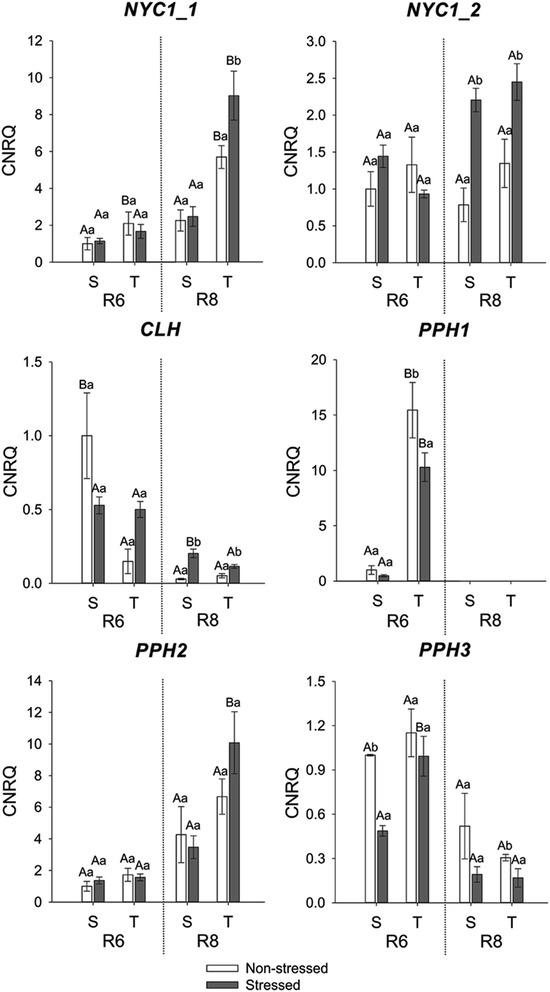 Fig. 7