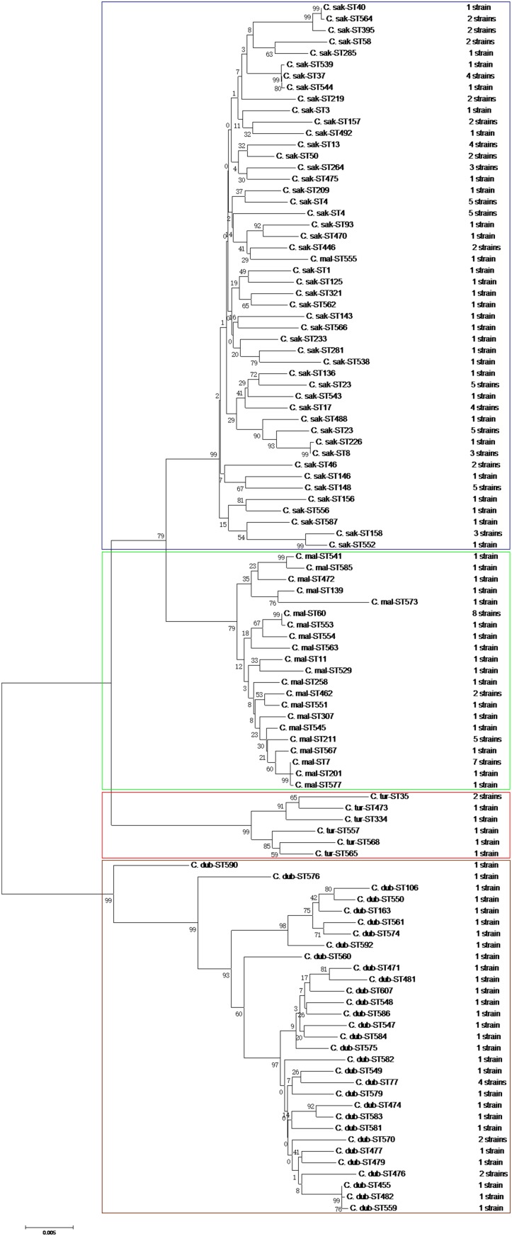 FIGURE 2