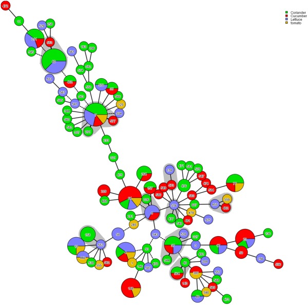 FIGURE 3