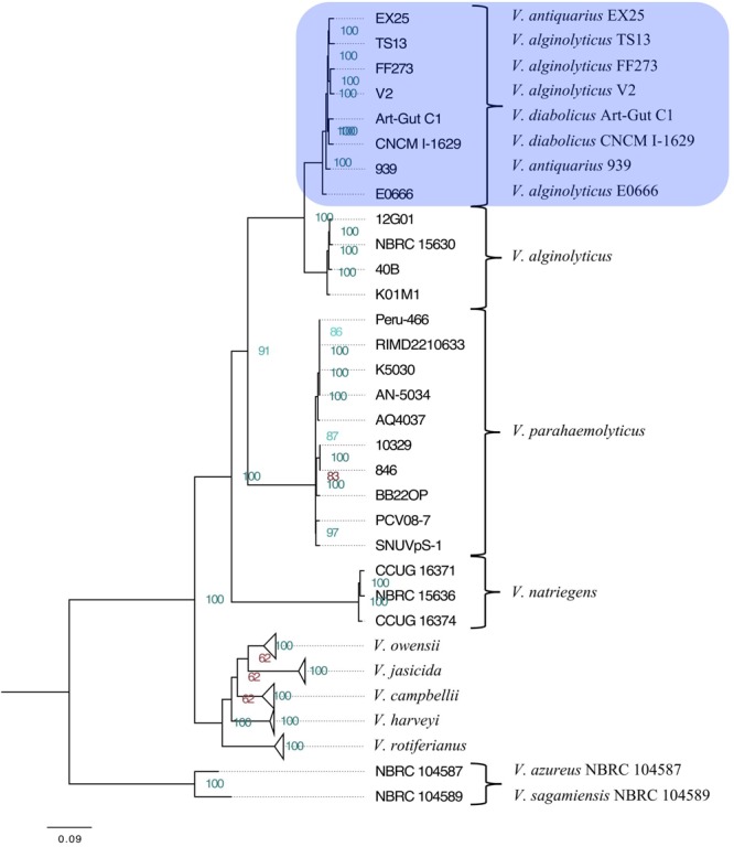 FIGURE 1