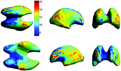 Figure 12