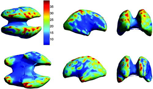 Figure 10