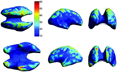 Figure 7