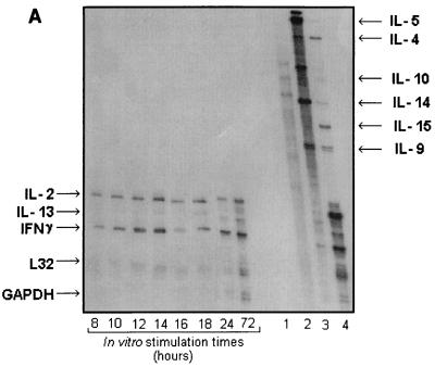 FIG. 3