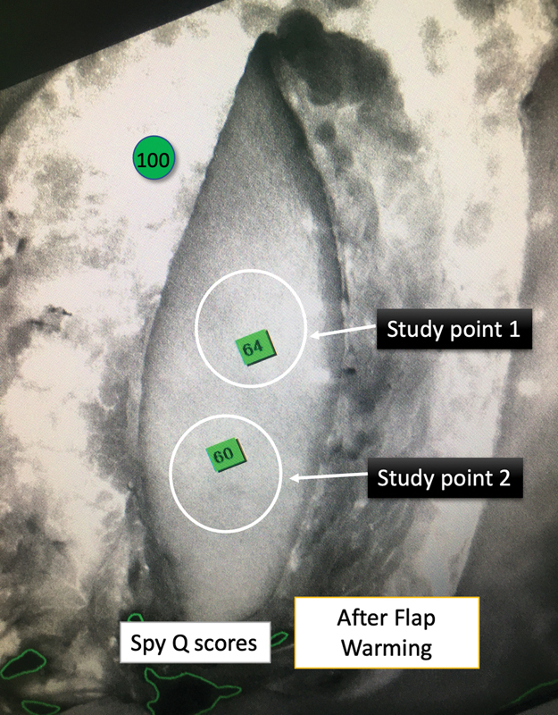 Fig. 8