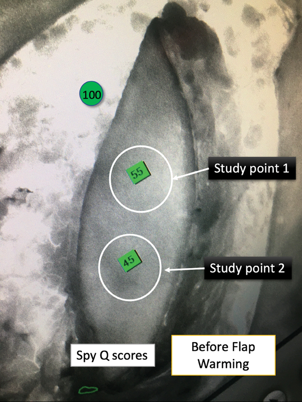 Fig. 7