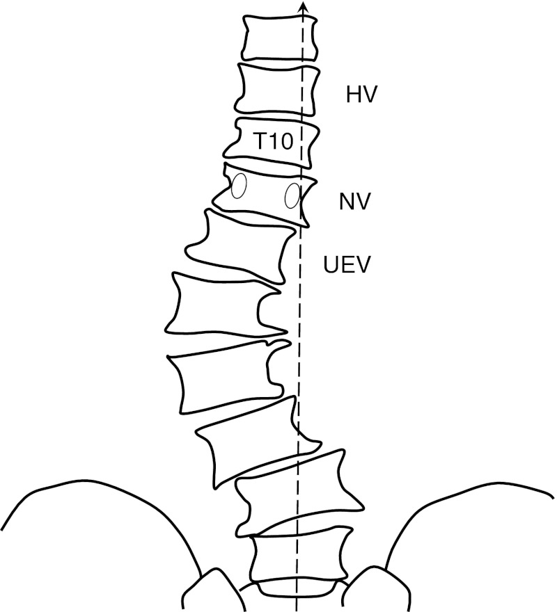 Fig. 3