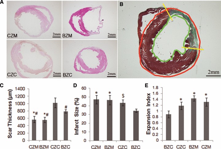 Fig 8