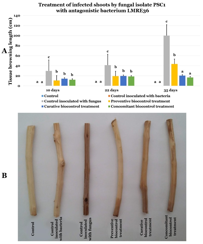 Figure 15