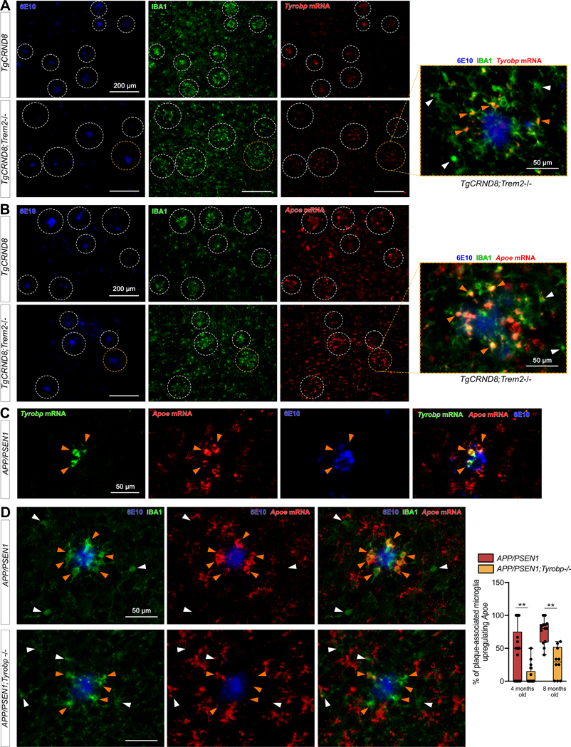 Figure 6: