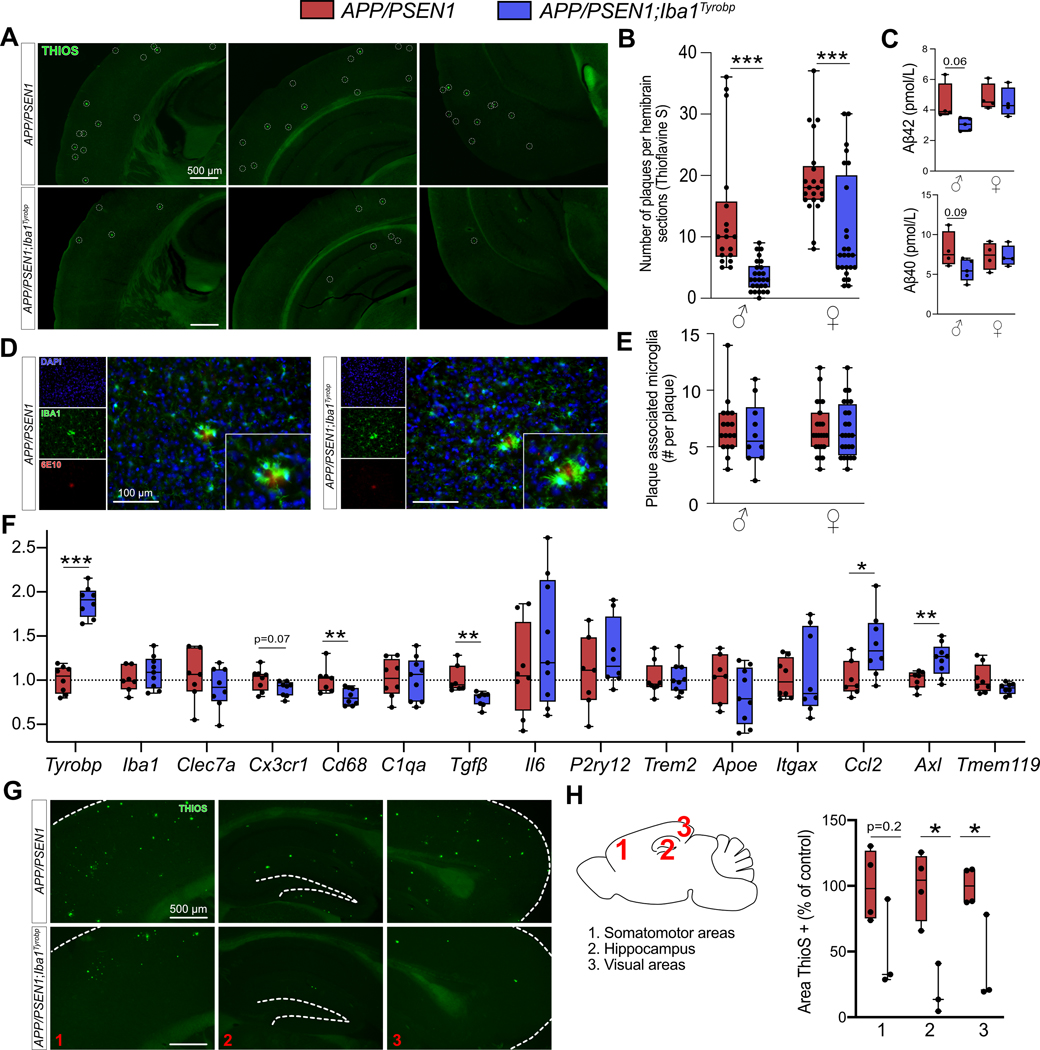 Figure 3: