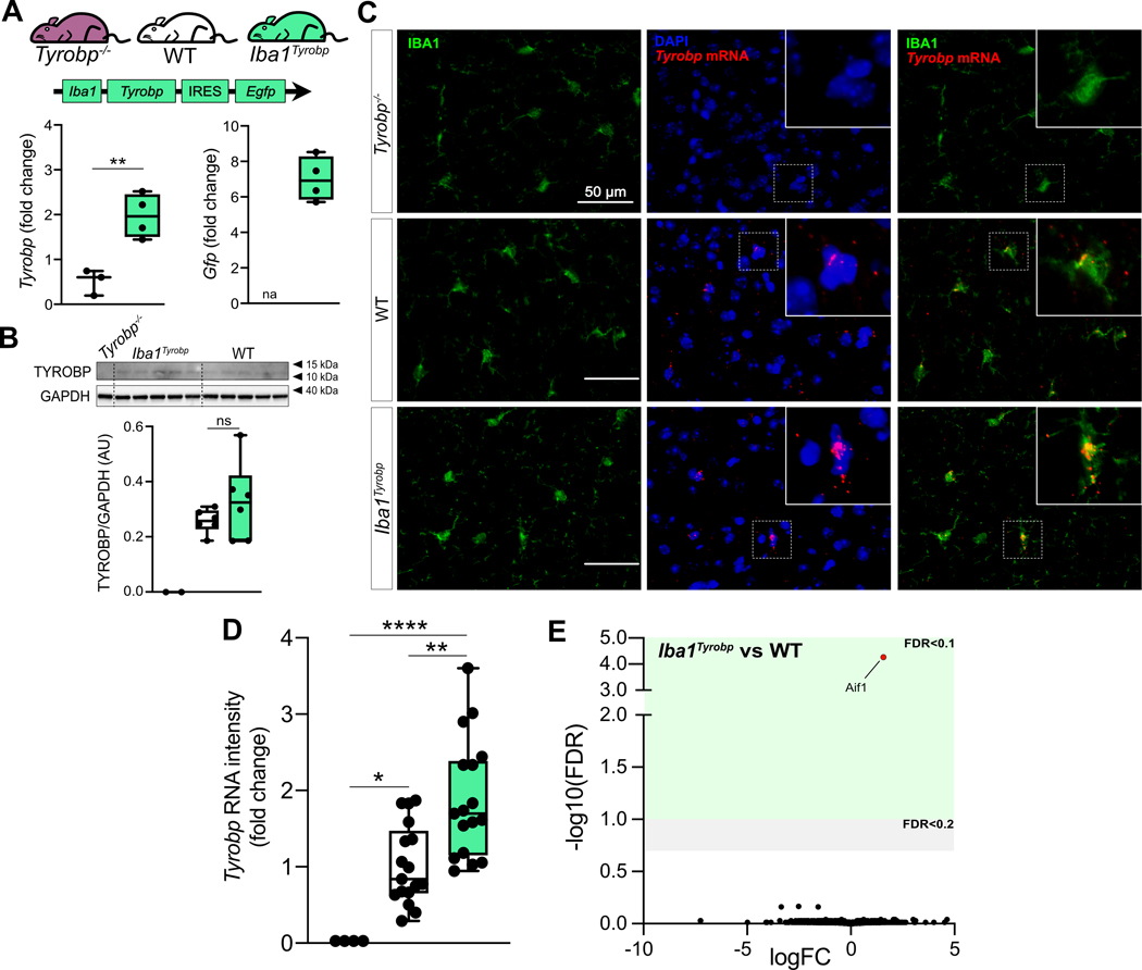 Figure 2: