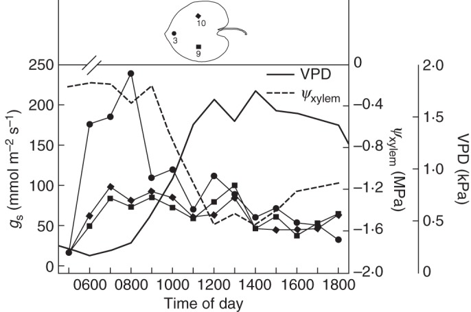 Fig. 7.