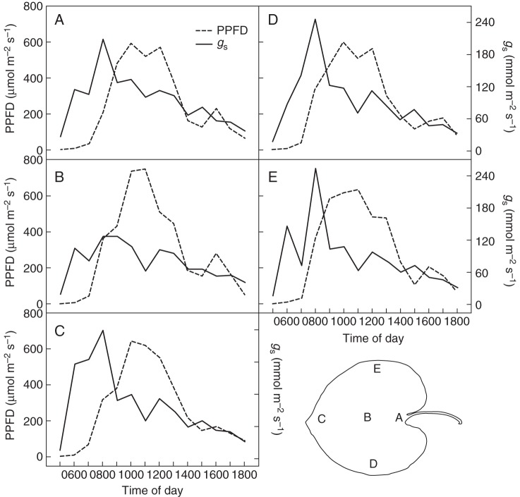 Fig. 6.