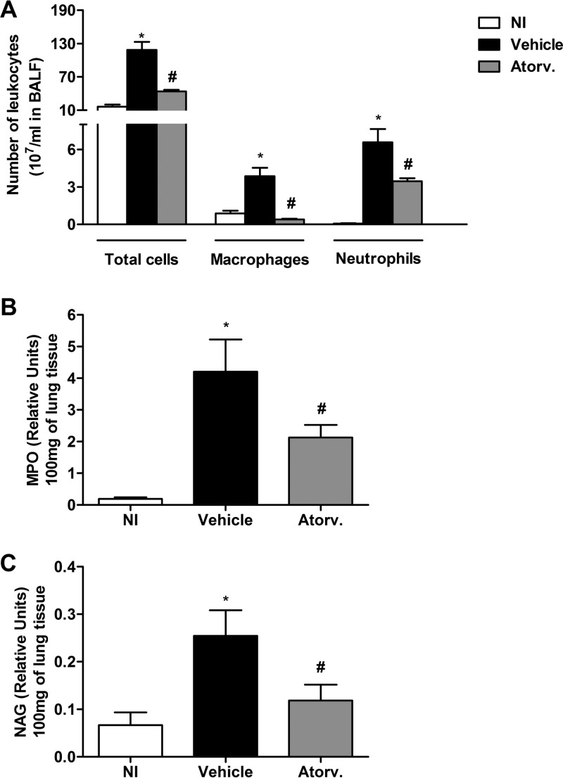 FIG 2