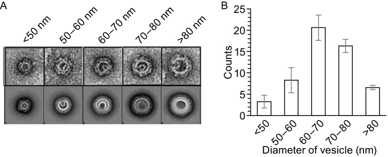 Figure 3