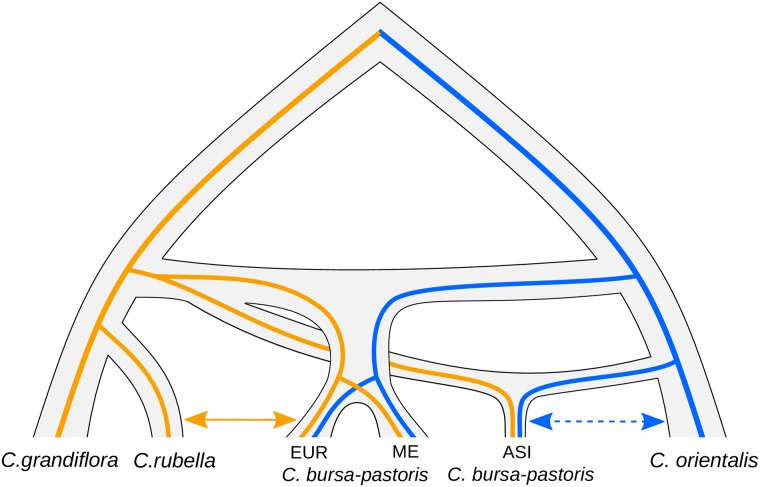 Fig 8