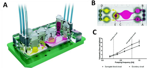 Figure 4.