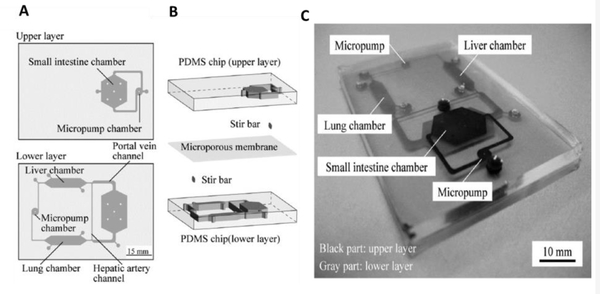 Figure 5.