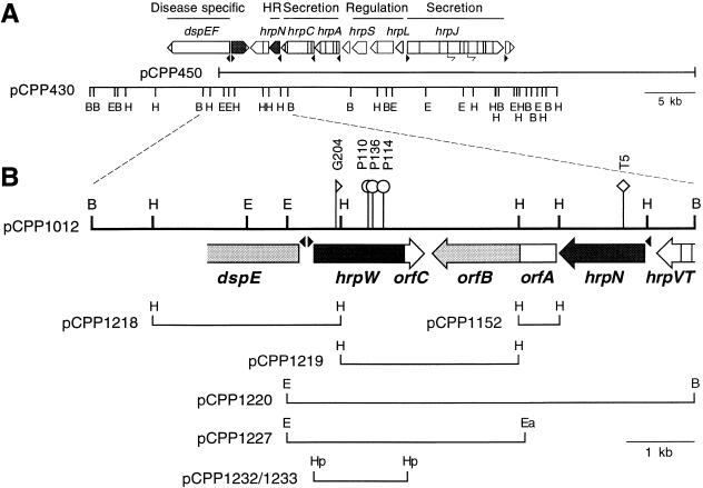 FIG. 1