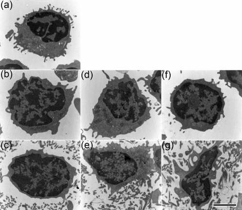 Fig. 5.